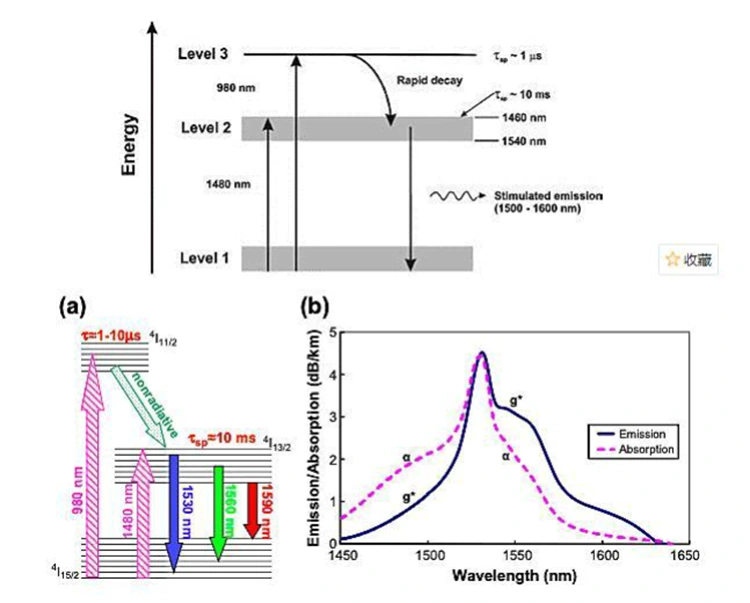 Erbium-dopad fiberförstärkare (EDFA) för optisk förstärkning Erbium-dopad fiberförstärkare (EDFA) för optisk förstärkning